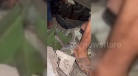 Palestine: Israeli Airstrike Flattens Home in Gaza Camp