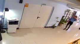 Playful dogs accidentally knock down woman in Barcelona, Spain