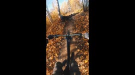 Hold Your Breath: MTB Rider's Close Call with a Tree After Jump Gone Wrong!