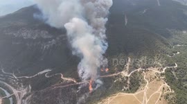Türkiye: Firefighters battle forest fire in northern Türkiye's Karabuk province