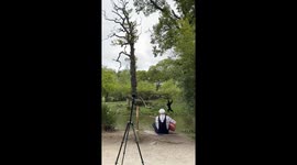 Animals join artist’s performance in wildlife park in Parc de Branféré, France