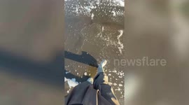 Woman catches dinner in seconds after learning to fish on YouTube