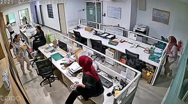 Staff jump on the tables as mouse runs through office
