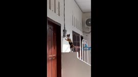 Curious cat investigates electric token box in Padang, Indonesia