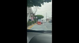 Traffic Barrier Politely Waits For Cars to Pass Before Crossing the Street