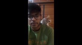 Kitten Looking at Its Human With Love