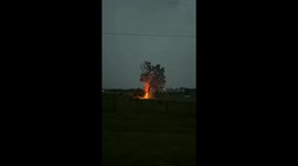 Tree Combusts After Lightning Strike