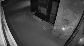Wild bear casually opens homeowner's door and strolls inside