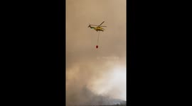 Spain: Wildfire Near Tarifa Forces Mass Evacuations From Tourist Areas 3