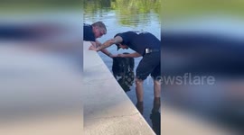 US: Florida Firefighters Rescue Dog Stranded In Canal Near Drowning