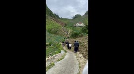 Motorcycle rider carries hundreds of lettuces on his back