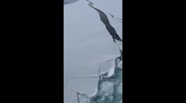 Ice breaker cruise ship eases through frozen surface in Greenland