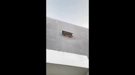 Tabby cat sunbathes on 20ft high window ledge