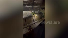Police pull naked man to safety after he jumped in canal