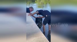 Firemen rescue frightened pet dog stranded in canal in Florida