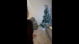 Christmas tree mishap: Girl crashes into Christmas tree and falls in the corner