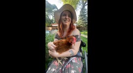 Beyond Pets: Exploring the Therapeutic Benefits of Chickens for People With Disabilities
