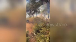 Fire truck trapped in flames while responding wildfire in northwestern Türkiye