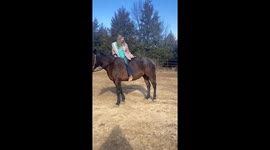 Border Collie Jumps To Ride Horse Bareback