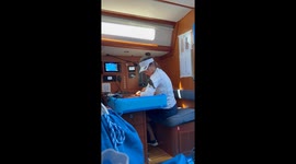 Little Bird Hitches Free Ride to Mackinac Island