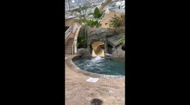 Father of the bride nearly drowns in 2ft of water day after wedding, TikTok video surpasses 3 million views