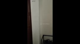 Huge python coiled around shower captured in family's bathroom