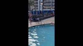 Couple Caught Getting Intimate in Resort Pool
