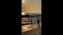 Slamarack surf flash mob turns Tamarack Beach into aquatic mayhem, Instagram video hits 3 million views