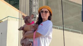 Petunia wins 2025 ‘World’s Ugliest Dog’ contest in California