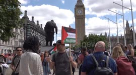 UK police arrest demonstrator at Palestine Action ban protests