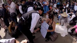 Police make 200 arrests during pro palestine action protests in Parliament Square in Central London