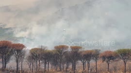 Italy: Firefighters tackle wildfire in Italy's Vesuvius National Park