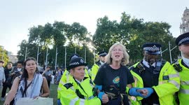 An elderly lady arrested in Parlimeant Square for holding a Palestine Action sign
