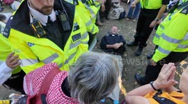 A vicar is arrested for supporting Palestine action in a protest in Parliament Square