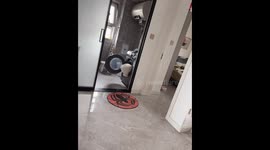 Puppy explores laundry machine in Liaoning, China