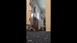 Pet hedgehog exploring indoors in Connecticut, USA