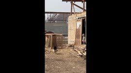 Rooster chases toddler outside shed in Bishkek, Kyrgyzstan