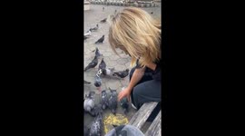 Woman gently places dove into her bag in Birobidzhan, Russia