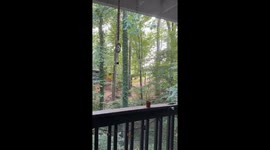 Shots ring out near CDC and Emory, with gunfire and sirens filling the air in Atlanta, USA