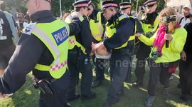 Pro Palestine protesters been taken away by police at the Defend Our Juries  protest in Parliament Square