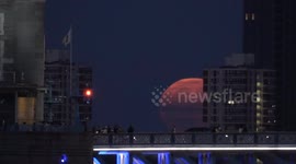 London Magic: Witness the August Full Moon Rise Behind the Iconic Tower Bridge