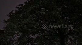 Lightning and thunder during rainy night in Delhi, India