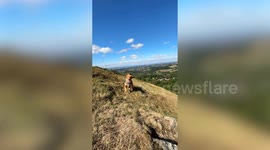 Dog walker captures UFO moving faster than the eye can see