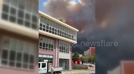 Türkiye: Wildfire Sweeps Across Çanakkale