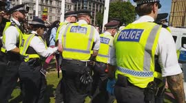 Police arrest protesters at the Defend Our Juries rally in support of banned group Palestine Action in Parliament Square