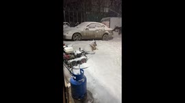 Otto Lays Out in the Snow