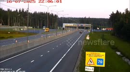Lynx tries to cross motorway before running back into forest