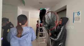 Stray monkey rescued after suffering electric shock