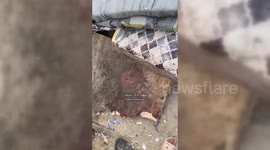 Palestine: Six Journalists Killed in Israeli Strike On Gaza Hospital