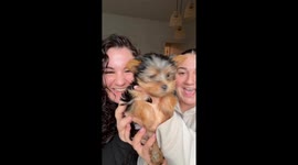 Daughters reunite to gift mum a new puppy following her dog’s tragic demise